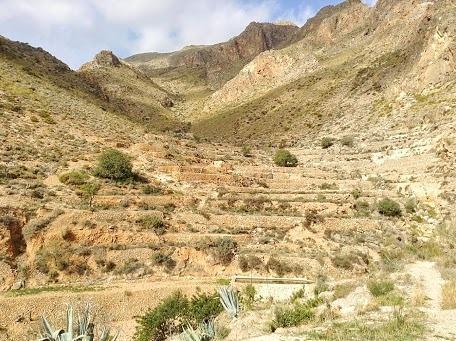 Cortijo El Molino Apartamento"El Balconcito" Níjar Eksteriør billede
